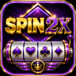 2X SPIN