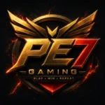 PE7 GAME